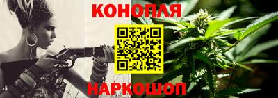 стаф Ставрополь
