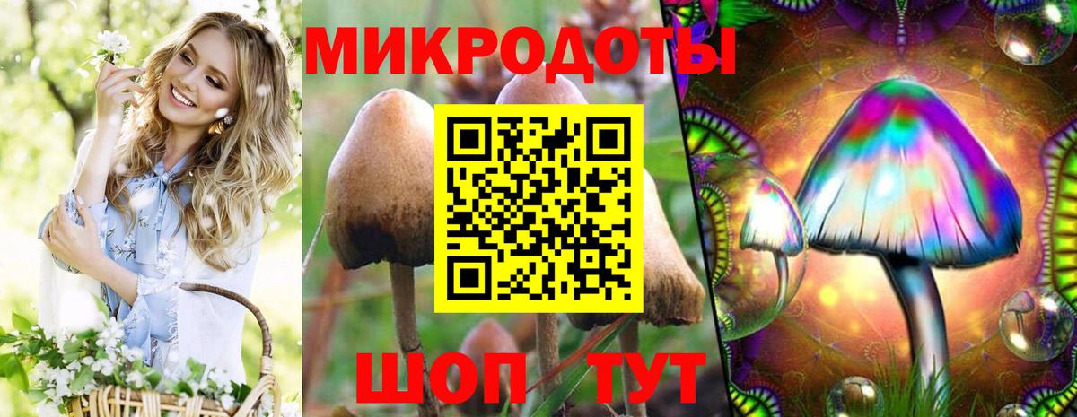 Галлюциногенные грибы Cubensis  цена   Вход с VPN  Ноябрьск  Галлюциногенные грибы MAGIC MUSHROOMS 